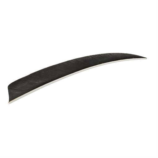 Picture of Trueflight Trueflight Shield Cut Feathers Black 5 in. LW 100 pk. 1908