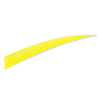 Picture of Trueflight Trueflight Shield Cut Feathers Chartreuse 5 in. LW 100 pk. 1913