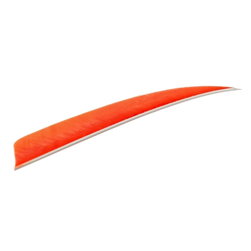 Picture of Trueflight Shield Cut Feathers Orange 5 in. LW 100 pk. 1905