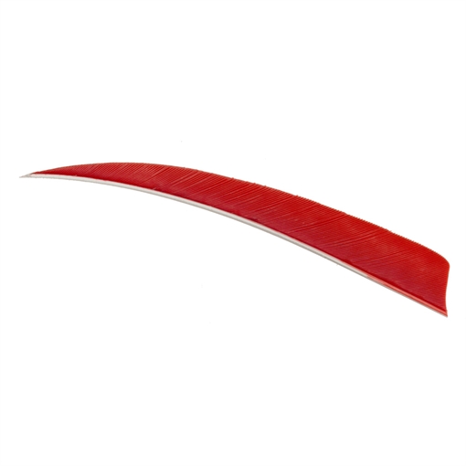 Picture of Trueflight Trueflight Shield Cut Feathers Red 4 in. RW 100 pk. 11603