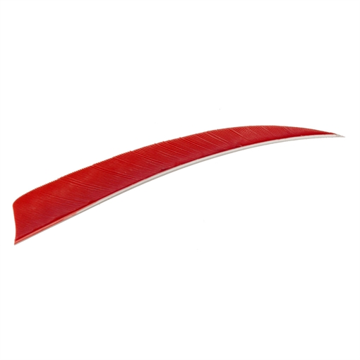 Picture of Trueflight Trueflight Shield Cut Feathers Red 5 in. LW 100 pk. 1903