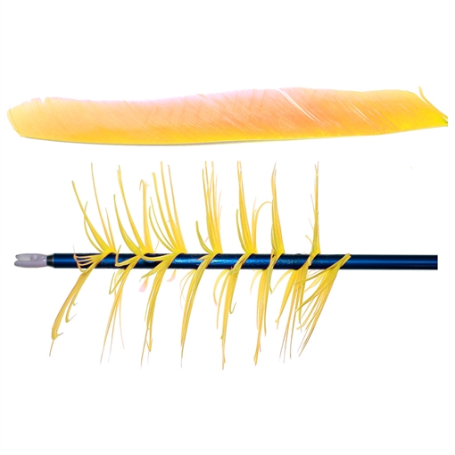 Picture of Trueflight Trueflight Spiral Wrap Flu-Flu Feathers Yellow RW 100 pk. 17004