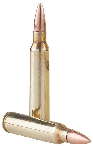 Picture of TR&Z Range Master 5.56x45mm NATO 55 gr Full Metal Jacket Boat Tail 125 Per Box/ 4 Case PPRM5561P
