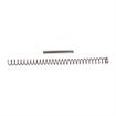 Picture of TYPE A RECOIL SPRING FOR TARGET (SOFTBALL) LOADS 41914