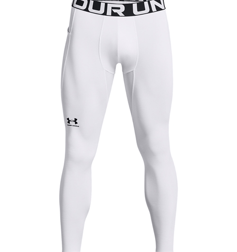 Picture of Under Armour ColdGear Leggings 1366075100MD