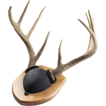 Picture of Walnut Hollow Antler Mount Kit Cherry 534698