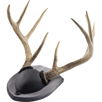 Picture of Walnut Hollow Antler Mount Kit Rustic Pine 534697