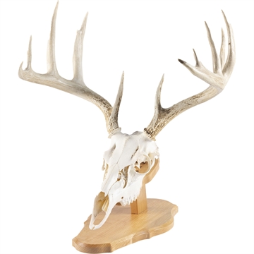 Picture of Walnut Hollow Walnut Hollow Euro Mount Kit Cherry 534694 090489724719