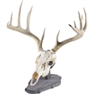 Picture of Walnut Hollow Euro Mount Kit Rustic Pine 534693