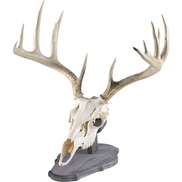 Picture of Walnut Hollow Euro Mount Kit Rustic Pine 534693