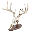 Picture of Walnut Hollow Euro Mount Kit 534692