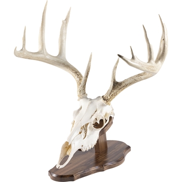 Picture of Walnut Hollow Euro Mount Kit 534692