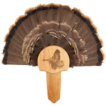 Picture of Walnut Hollow Turkey Mount Kit Cherry Taking Flight 534690