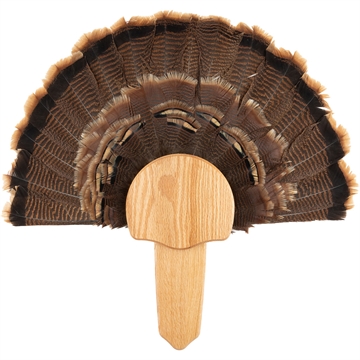 Picture of Walnut Hollow Turkey Mount Kit Oak 534684