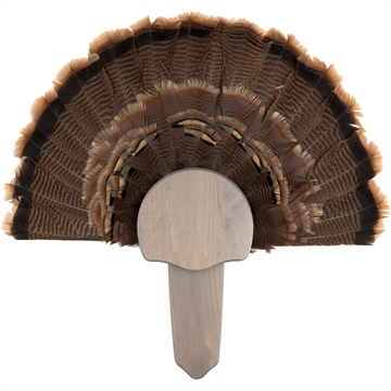 Picture of Walnut Hollow Turkey Mount Kit Rustic Pine 534687