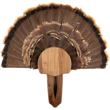 Picture of Walnut Hollow Turkey Mount Kit 534685