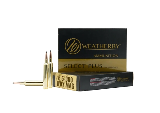Picture of WEATHERBY AMMO 6.5-300WBY 129G HAMMER CUSTOM 20/10 M653129HCB