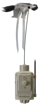 Picture of Western Rivers Mantis Pro Decoy Brown Molded Plastic MPDECOY