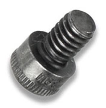 Picture of WHITE LABEL ARMORY AR10/AR15 GAS KEY SCREW 10PK PAC301010