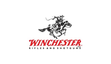 Picture of WINCHESTER MAGAZINE XPERT 17HMR/22WMR 9RD 112028024 023614783251