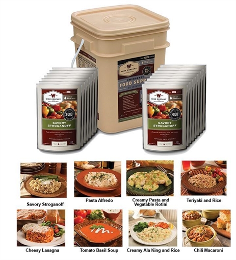 Picture of Wise Company 60-Serving Emergency Grab and Go Food Kit RW10-160