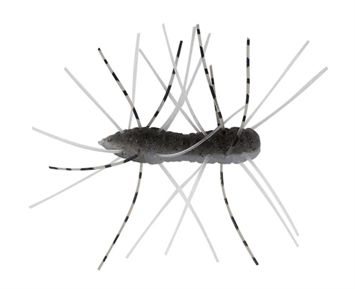 Picture of Z-MAN FUZZY BUGZ 1.75" ELECTRIC SHAD 4PK FZB-388 810160953562