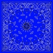 Picture of Zan Headgear Bandanna B002