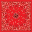 Picture of Zan Headgear Bandanna B003