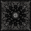 Picture of Zan Headgear Bandanna B001