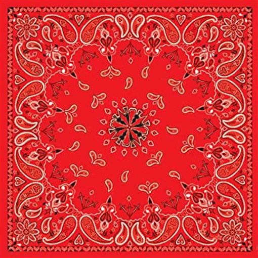 Picture of Zan Headgear Bandanna B003