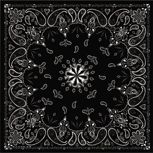 Picture of Zan Headgear Bandanna B001