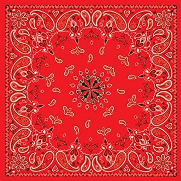 Picture of Zan Headgear Bandanna B003