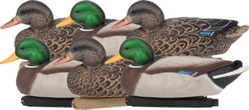 Picture of Zink Calls Zink Floater Duck Decoys Mallards 6 pk. ZNK-ZNKDY319