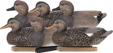 Picture of ZINK FLOATER DECOYS GADWALL 6 PACK ZNK-ZNKDYGAW