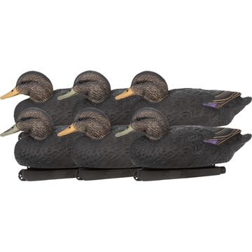 Picture of Zink Calls Zink Floater Duck Decoys Black Ducks 6 pk. ZNK-ZNKDYBLK